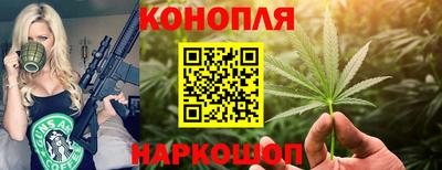 МДПВ Краснознаменск