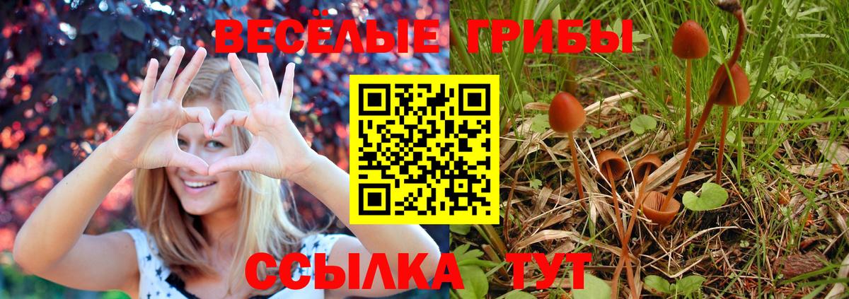 Галлюциногенные грибы MAGIC MUSHROOMS  Вход с VPN  Галлюциногенные грибы MAGIC MUSHROOMS  Ишим 